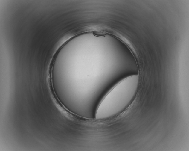 X0000112071042200908040946