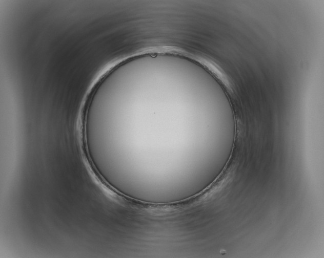 X0000112071046200908040947