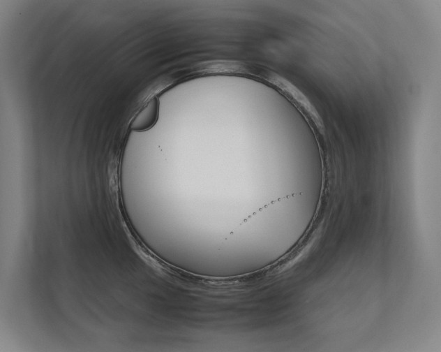 X0000112071049200908040947