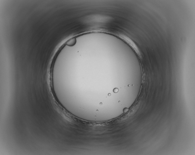 X0000112071051200908040947