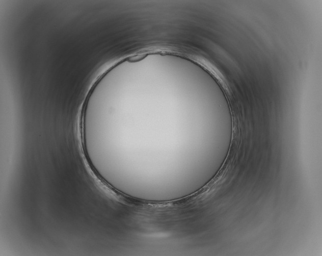 X0000112071055200908040947