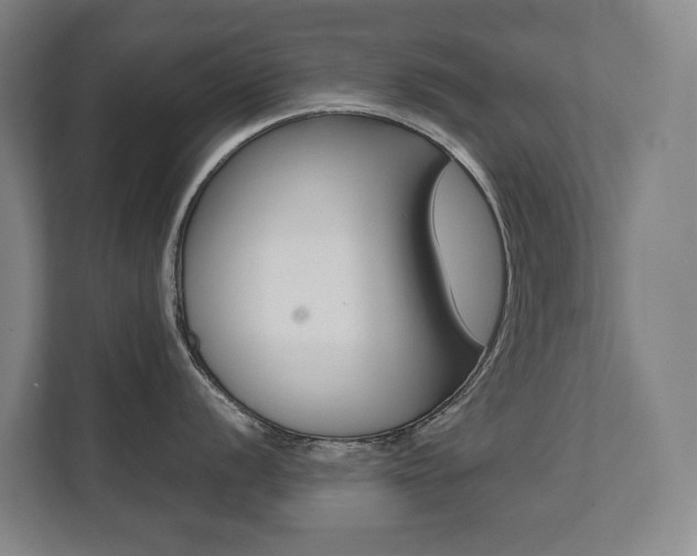 X0000112071056200908040947