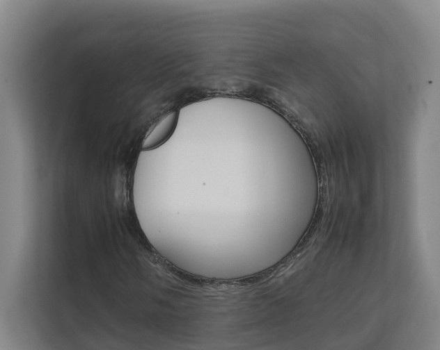 X0000112071058200908040946