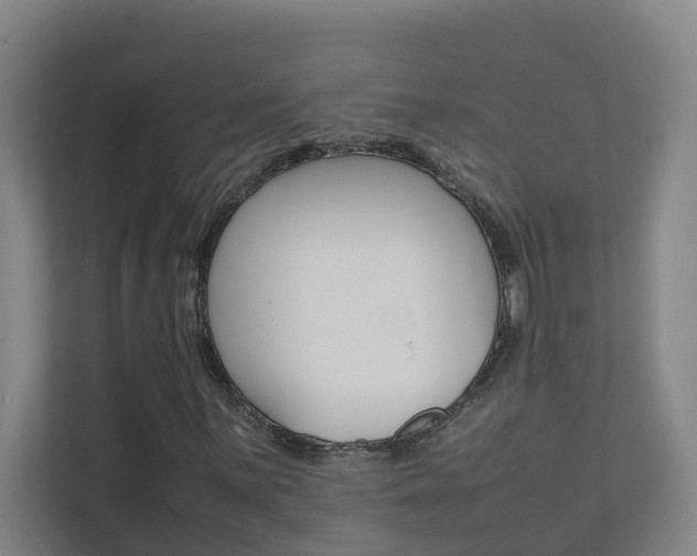 X0000112071059200908040946