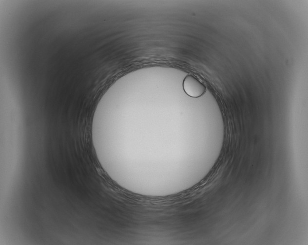 X0000112071060200908040946