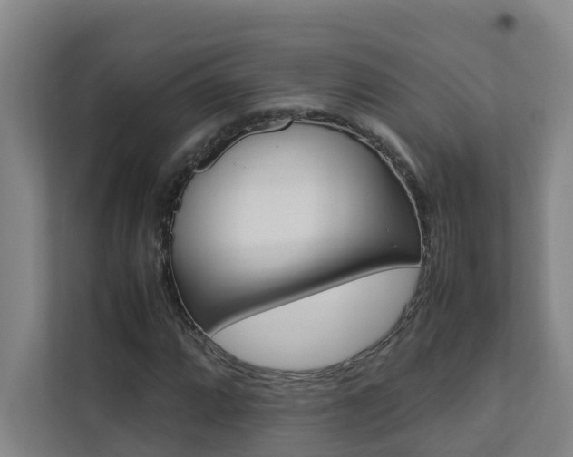 X0000112071064200908040946