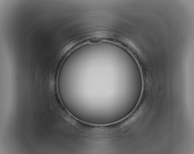 X0000112071065200908040946