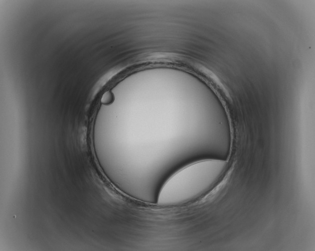X0000112071066200908040946