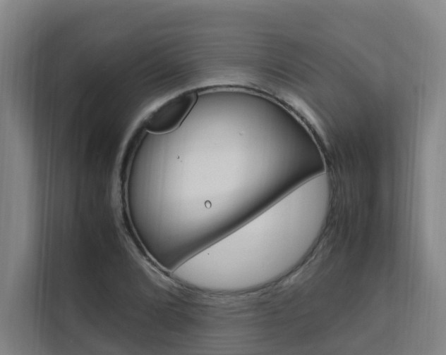 X0000112071072200908040946