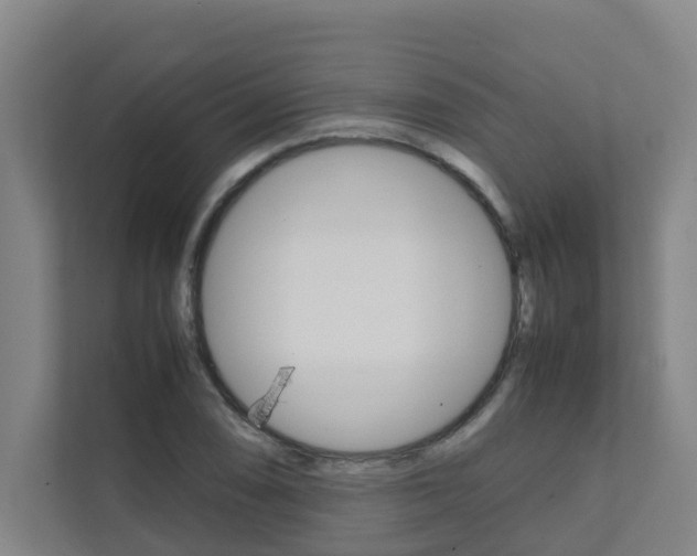X0000112071074200908040946