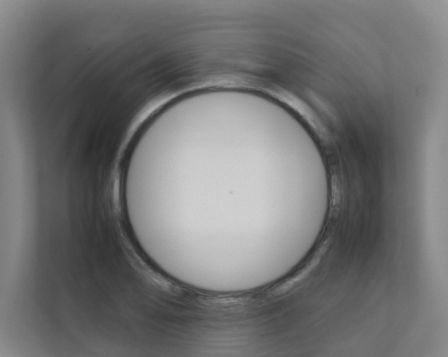 X0000112071078200908040946