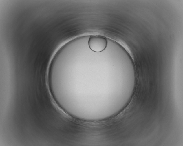 X0000112071080200908040946