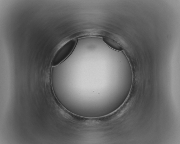 X0000112071081200908040946