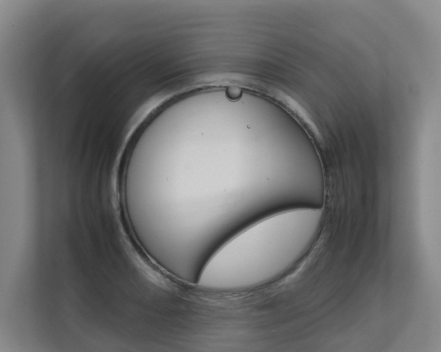 X0000112071082200908040946