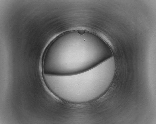 X0000112071084200908040946