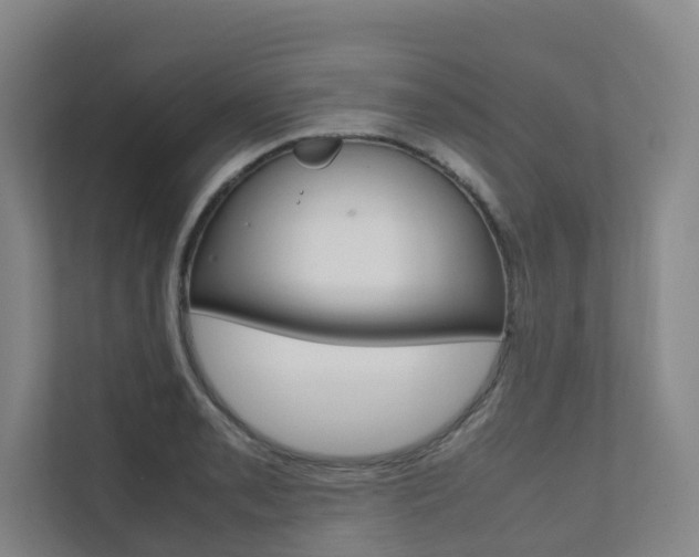 X0000112071085200908040946