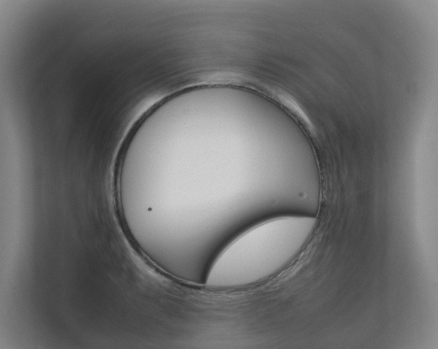 X0000112071087200908040946
