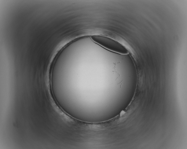X0000112071088200908040946