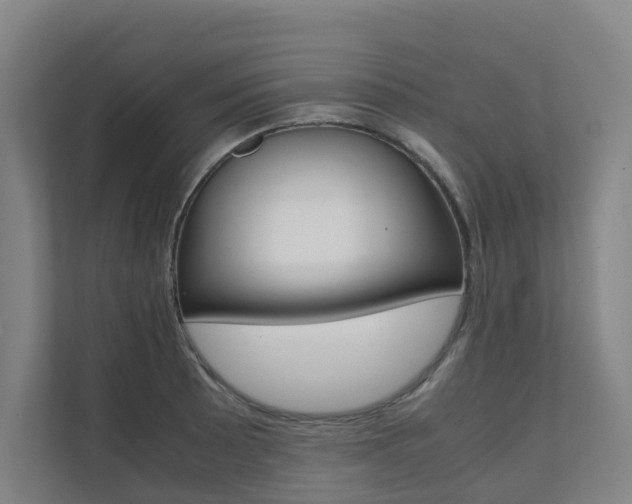 X0000112071089200908040946