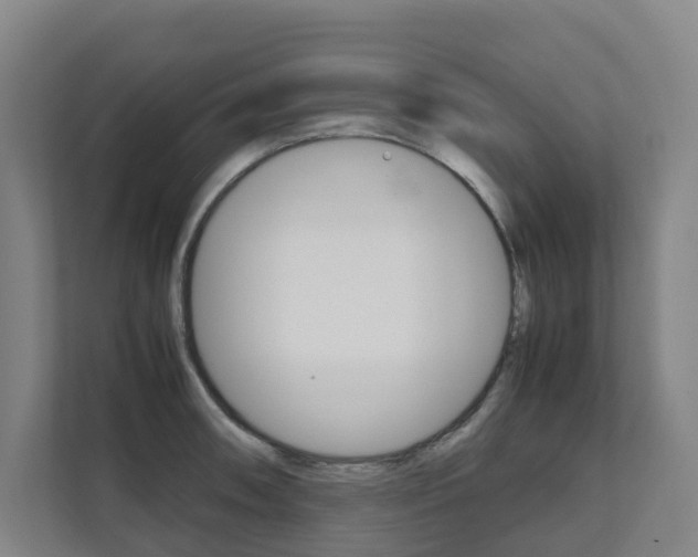X0000112071090200908040946