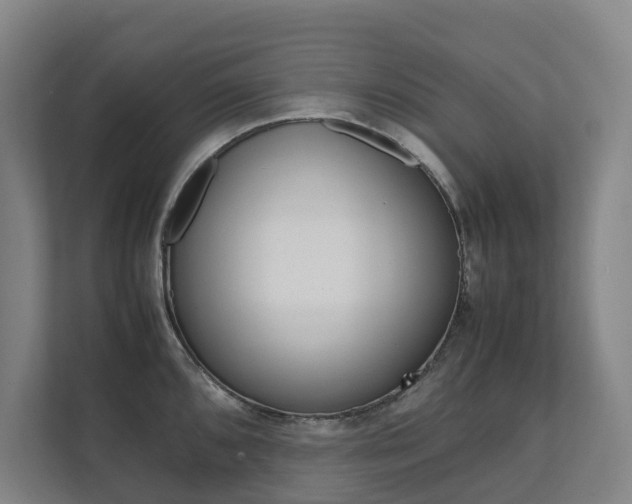 X0000112071096200908040946