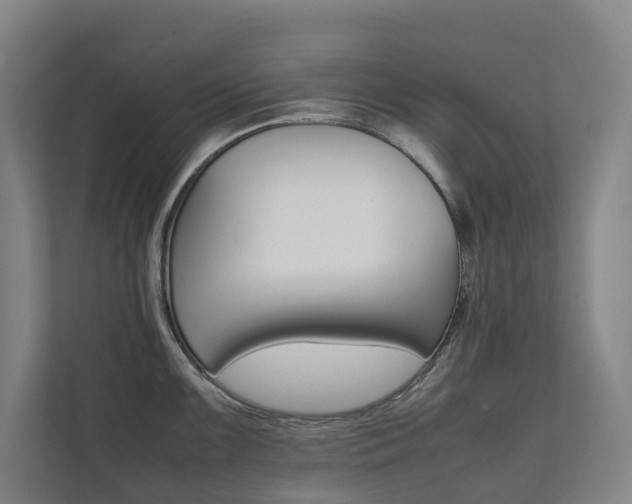 X0000112071099200908040945