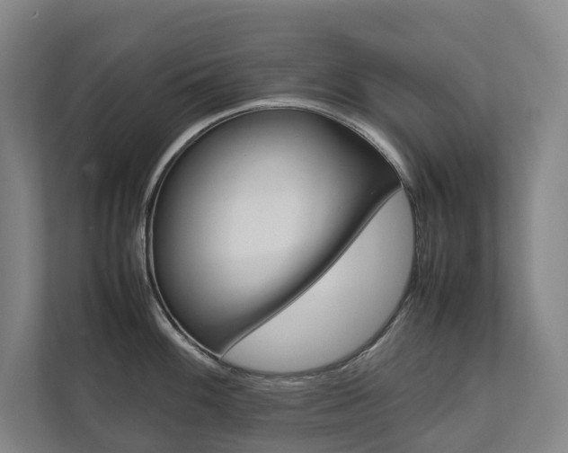 X0000112071100200908040945