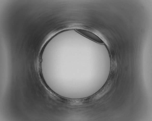 X0000112071101200908040945