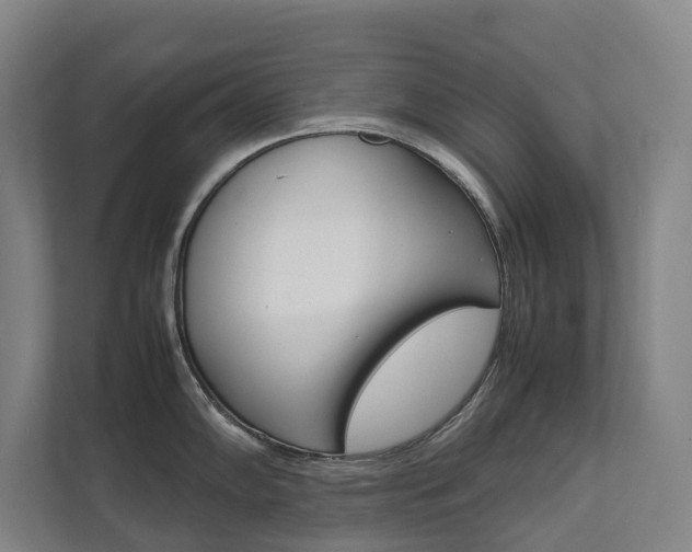 X0000112071102200908040945
