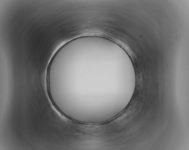 X0000112071103200908040945