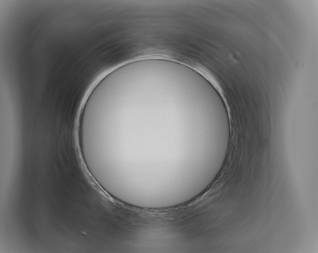 X0000112071104200908040945