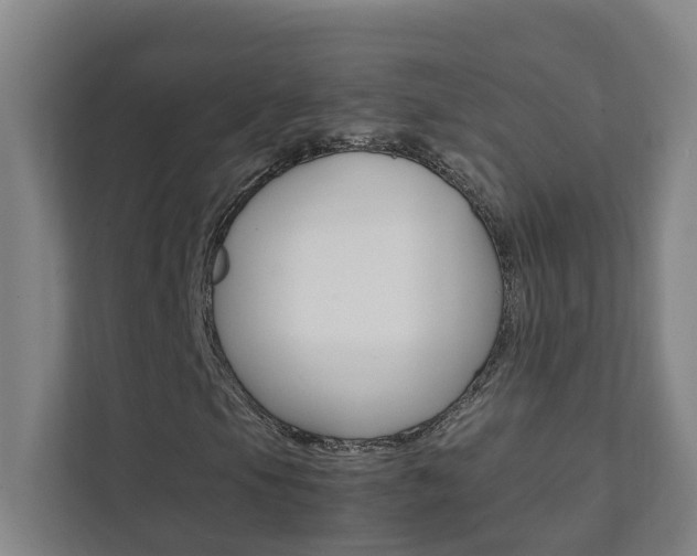 X0000112071105200908040945