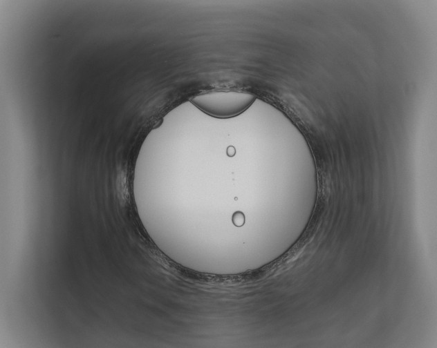 X0000112071106200908040945