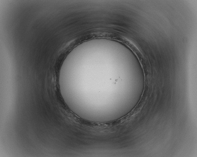 X0000112071111200908040945