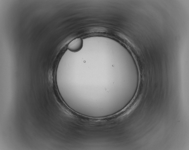 X0000112071113200908040945
