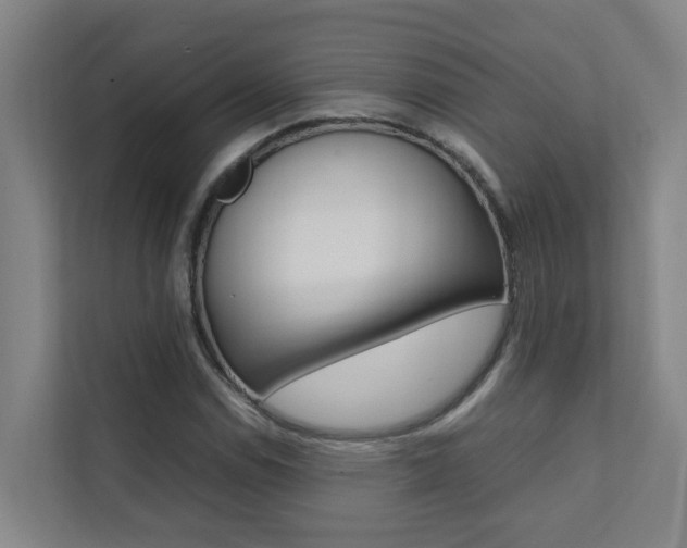 X0000112071114200908040945
