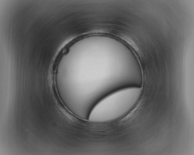 X0000112071119200908040945