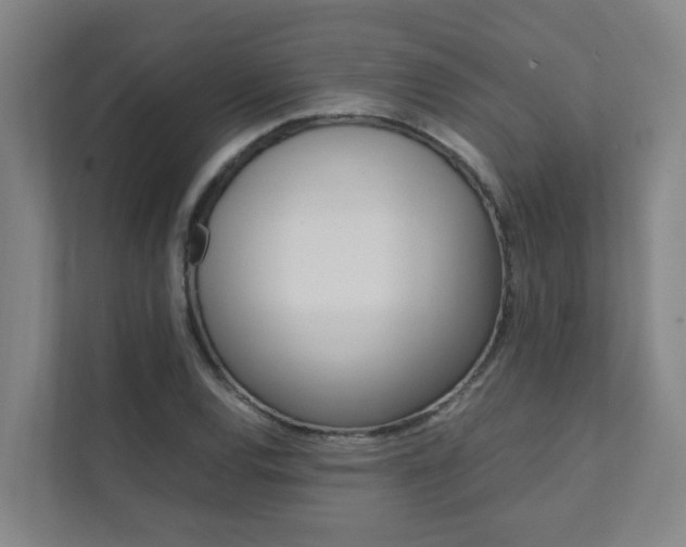 X0000112071120200908040945