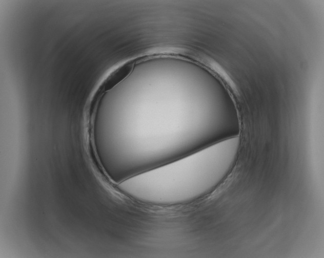 X0000112071124200908040945
