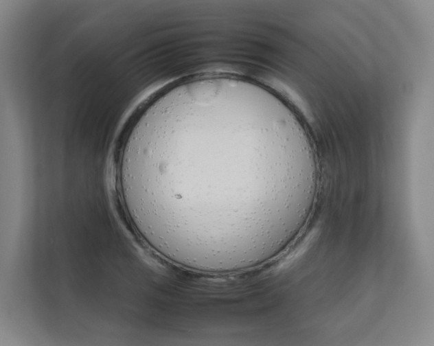X0000112071125200908040945