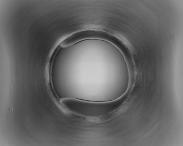 X0000112071128200908040945