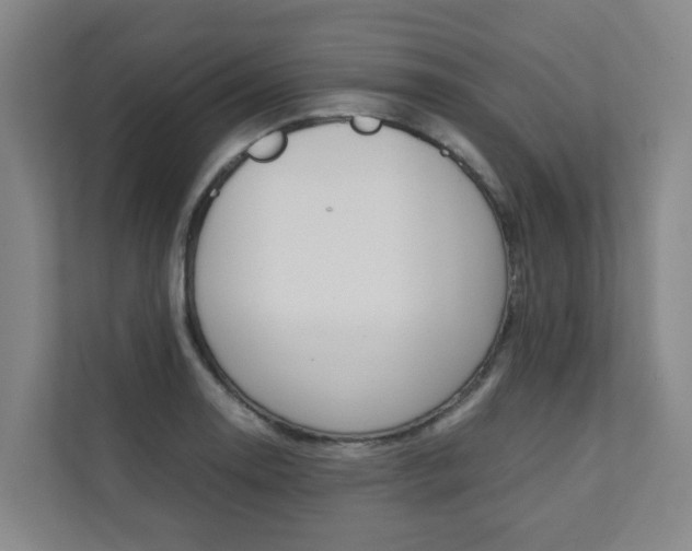 X0000112071130200908040945