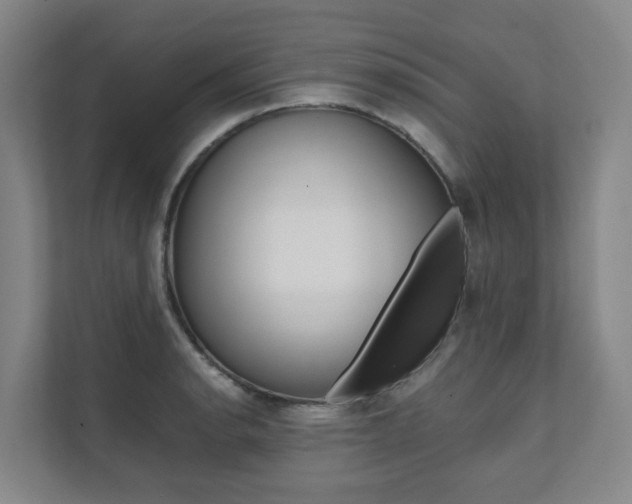 X0000112071134200908040945