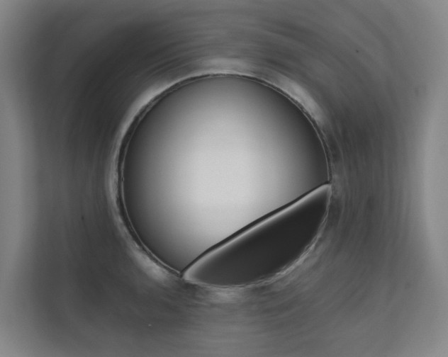 X0000112071136200908040945