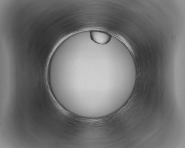 X0000112071140200908040945