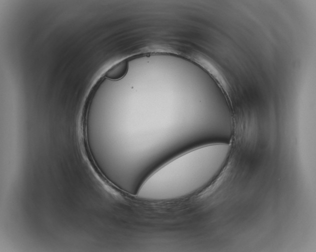 X0000112071141200908040945
