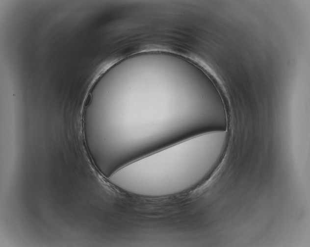 X0000112071145200908040945