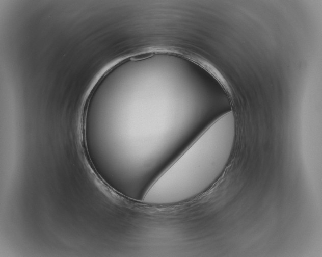 X0000112071148200908040945