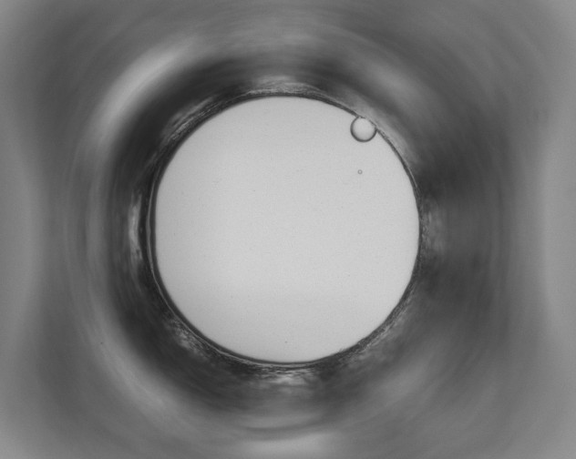 X0000112071150200908040945
