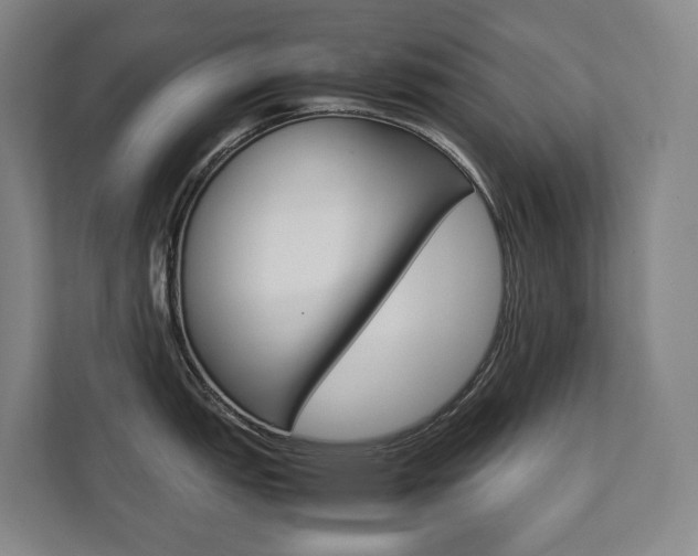 X0000112071151200908040945